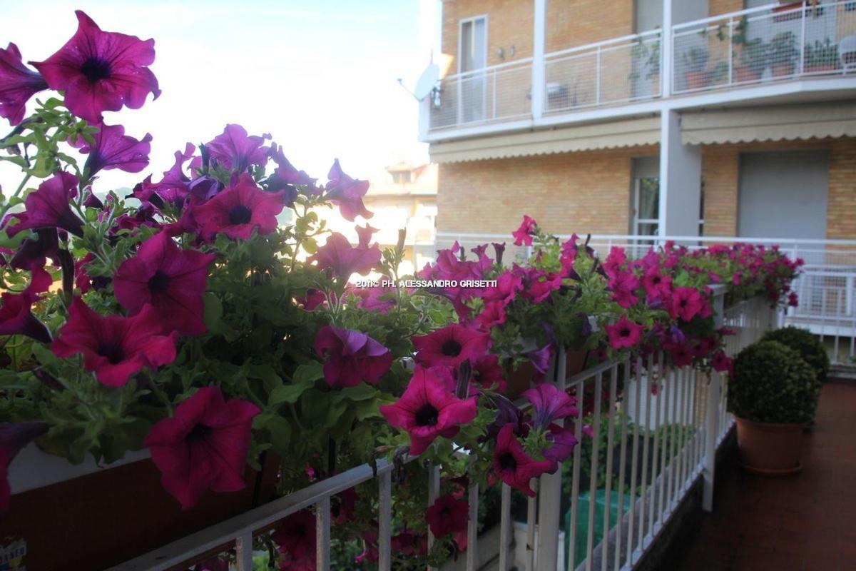 B&B Paradisett Como Eksteriør billede